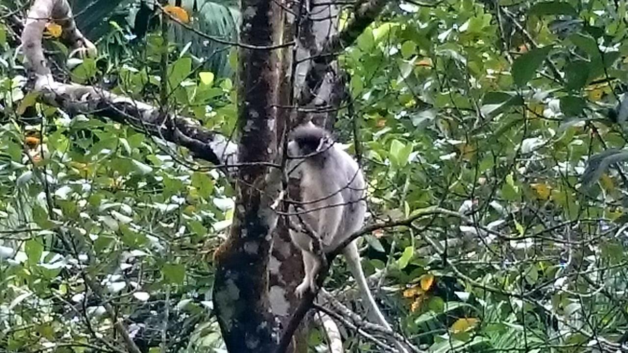360 Rainforest Денияя Екстериор снимка