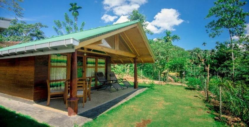 360 Rainforest Денияя Екстериор снимка